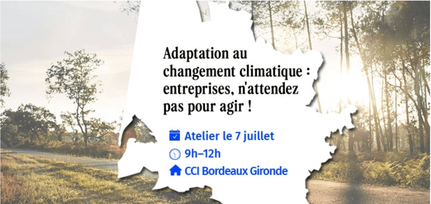 Adaptation au changement climatique : anticiper pour son entreprise